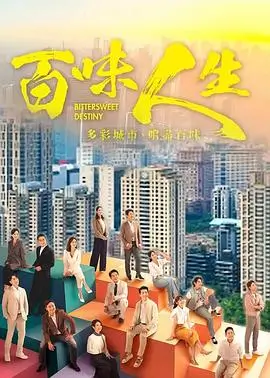 雾港迷踪剧照
